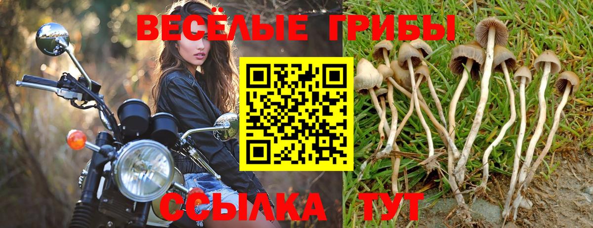 Серпухов  Галлюциногенные грибы Magic Shrooms  Псилоцибиновые грибы Psilocybe  Вход с VPN 